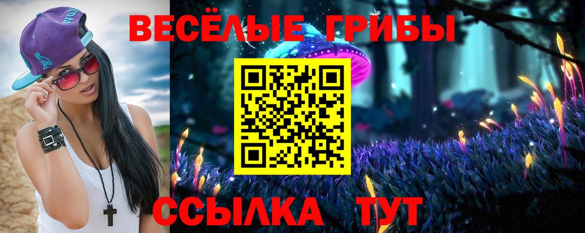 Кулебаки  Галлюциногенные грибы Magic Shrooms  Вход с VPN 