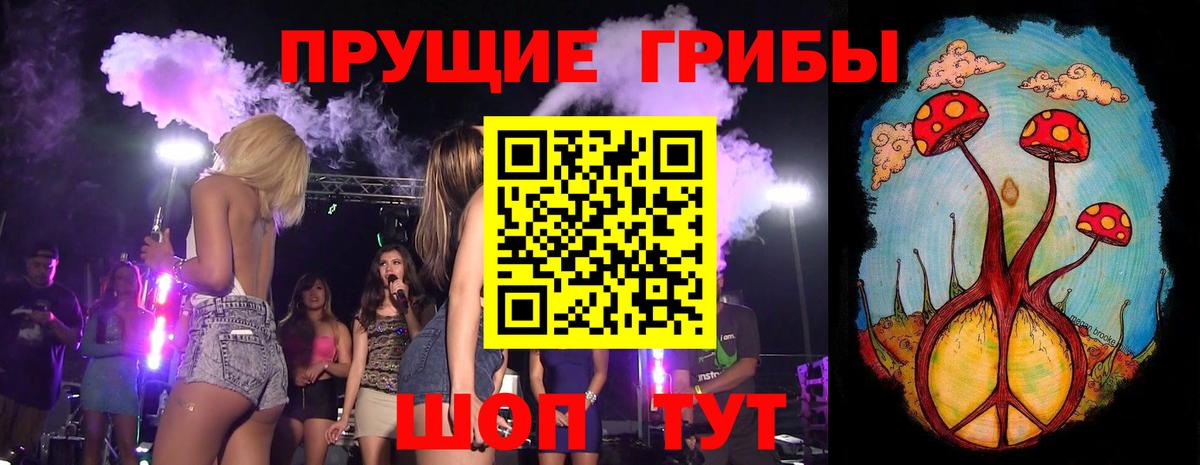 Псилоцибиновые грибы Psilocybe Кулебаки