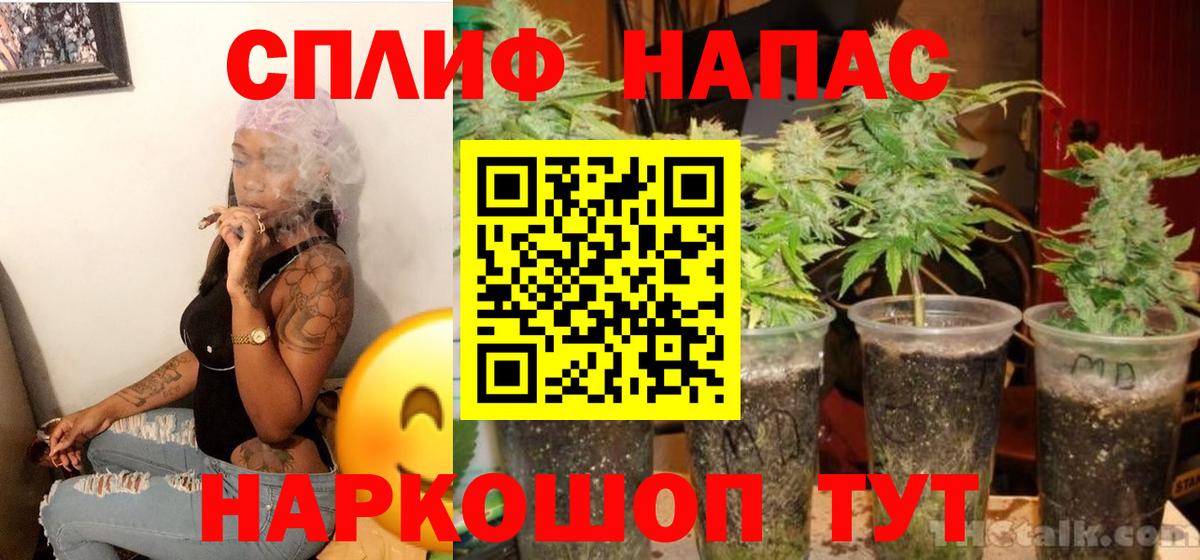 Каннабис ГИДРОПОН Кулебаки